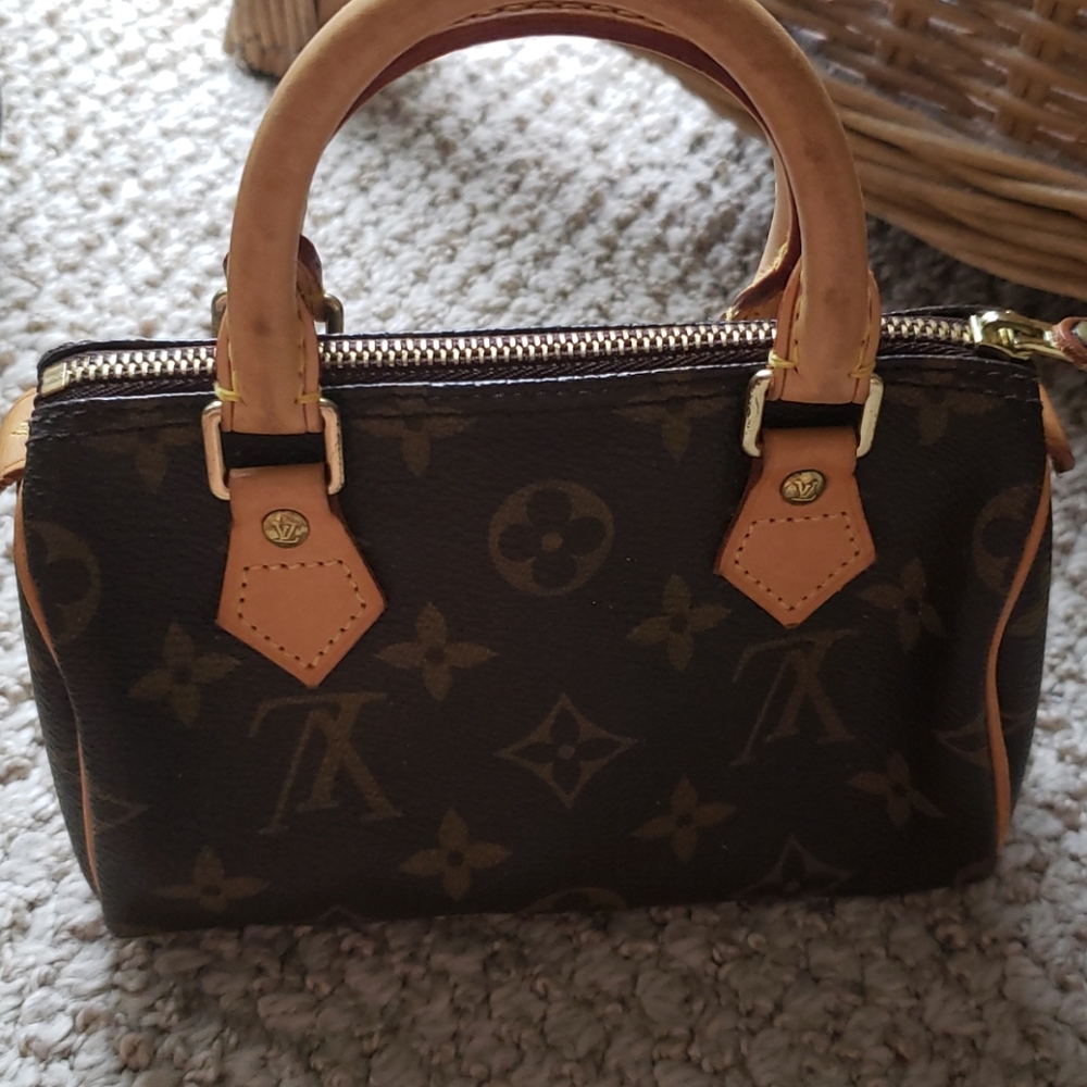 Authentic Louis Vuitton Mini Bag - image 1